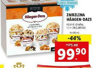 Lidl Häagen - dazs zmrzlina nabídka