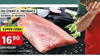 Lidl Kapr půlený nabídka