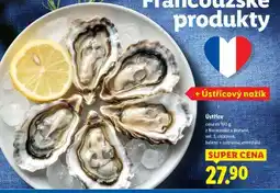 Lidl Ústřice nabídka