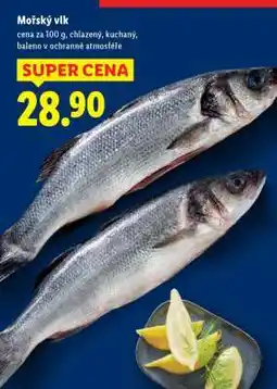 Lidl Mořský vlk nabídka