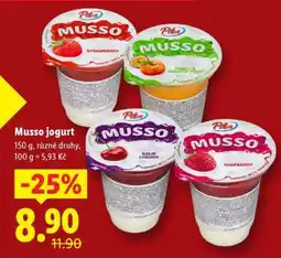 Lidl MUSSO JOGURT nabídka