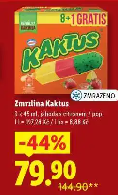 Lidl ZMRZLINA KAKTUS nabídka