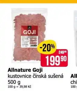 Teta Kustovnice čínská - goji nabídka