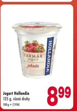 Qanto HOLLANDIA Jogurt nabídka