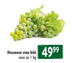Qanto Hroznové víno bílé nabídka