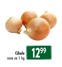 Qanto Cibule nabídka