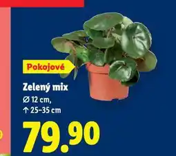 Lidl Zelený mix nabídka