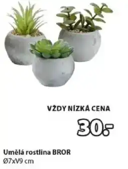 JYSK Umělá rostlina BROR nabídka