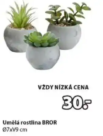 JYSK Umělá rostlina BROR nabídka