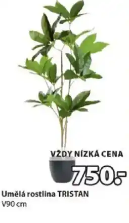 JYSK Umělá rostlina TRISTAN nabídka