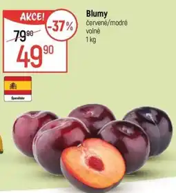 Globus Blumy nabídka