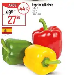 Globus Paprika trikolora nabídka