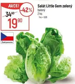 Globus Salát Little Gem zelený nabídka