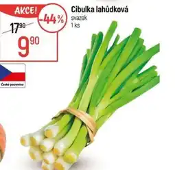 Globus Cibulka lahůdková nabídka