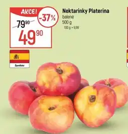 Globus Nektarinky Platerina nabídka