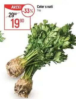 Globus Celer s natí nabídka