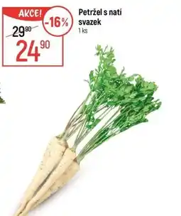 Globus Petržel s natí svazek nabídka