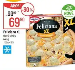 Globus Dr.Oetker Feliciana XL nabídka