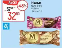 Globus MAGNUM nabídka