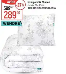 Globus Ložní polštář Blumen nabídka