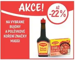 Globus Na vybrané bujóny a polévkové koření značky Maggi nabídka