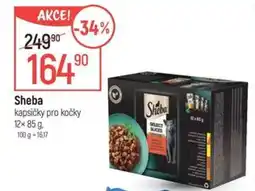 Globus Sheba kapsičky pro kočky nabídka