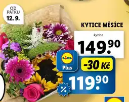 Lidl Kytice měsíce nabídka
