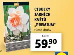 Lidl Cibulky jarních květů „Premium nabídka