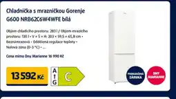 Datart Chladnička s mrazničkou Gorenje G600 NRB62C6W4WFE bílá nabídka