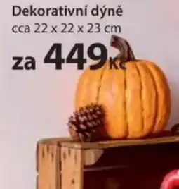 NKD Dekorativní dýně nabídka