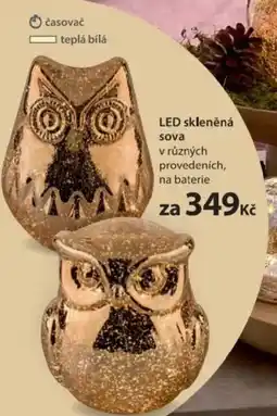 NKD LED skleněná sova nabídka