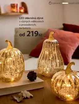 NKD LED skleněná dýně nabídka