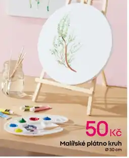 Pepco Malířské plátno kruh nabídka