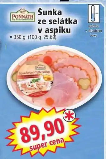 Norma Šunka ze selátka v aspiku nabídka