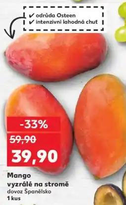 Kaufland Mango vyzrálé na stromě nabídka