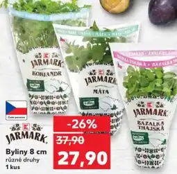 Kaufland Byliny 8 cm nabídka
