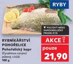 Kaufland RYBNÍKÁŘSTVÍ POHOŘELICE Pohořelický kapr nabídka