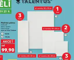 Kaufland Malířské plátno nabídka