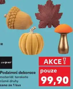 Kaufland Podzimní dekorace nabídka