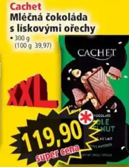 Norma Cachet Mléčná čokoláda s lískovými ořechy nabídka