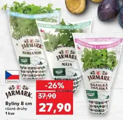 Kaufland JARMARK Byliny 8 cm nabídka