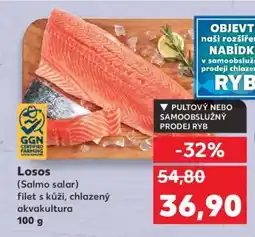 Kaufland Losos (Salmo salar) nabídka