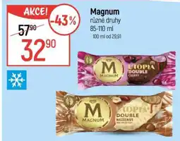 Globus Magnum různé druhy nabídka