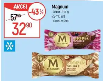 Globus Magnum různé druhy nabídka