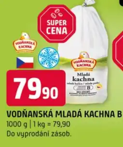 Terno Vodňanská mladá kachna b nabídka