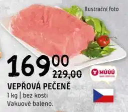 Terno Vepřová pečeně nabídka