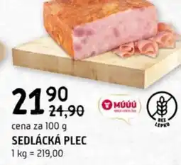 Terno Sedlácká plec nabídka