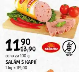 Terno Salám s kapií nabídka