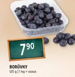 Terno Borůvky nabídka