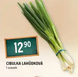 Terno Cibulka lahůdková nabídka